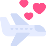 Flight icon