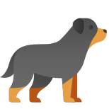 rottweiler icon