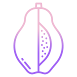 Papaya icon