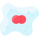 Bacteria icon