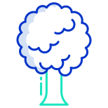 Arbre icon