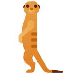 Suricate icon