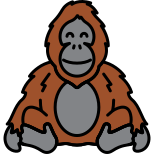 Orangotango icon