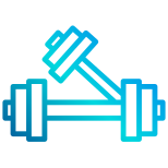 Dumbbell icon