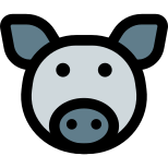 Swine Flu icon