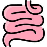 Small Intestine icon