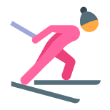 クロスカントリー スキー スキン タイプ 2 icon