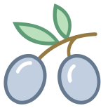 Olive icon