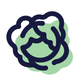 Cabbage icon