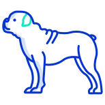 牛头犬 icon