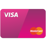 Visa Card icon