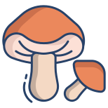 Porcini Mushrooms icon