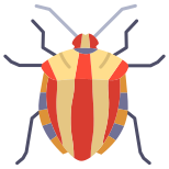 Bug icon