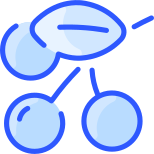 Berries icon