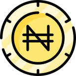 Naira icon