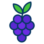 Grapes icon