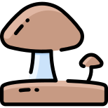 Champignon icon