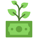 Money icon