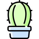 Kaktus icon