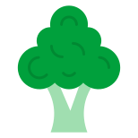 Brocoli icon