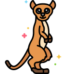 Meerkat icon