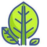 Botanical icon