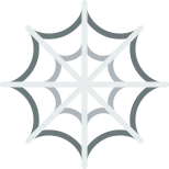 Cobweb icon