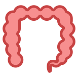 Intestino grosso icon