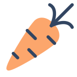 Carota icon