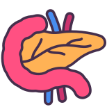 Pancreas icon