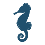 Seahorse icon