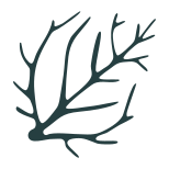 Seaweed icon