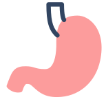 Stomach icon