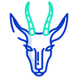 Springbok icon