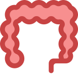 Gros intestin icon