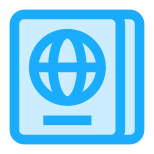 Passaporto icon