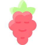 Raspberry icon