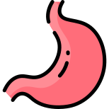 Stomach icon