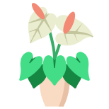 Anthurium icon