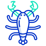 Lobster icon