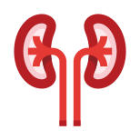 Kidneys icon