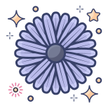 Aster Flower icon