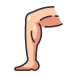 Anatomy icon