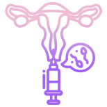 Uterus icon