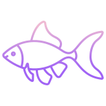 Tetra goldfish icon