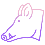 Wild Pig icon