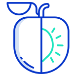 Apricot icon