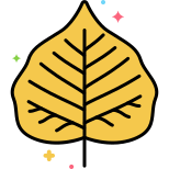 Bodhi Leaf icon