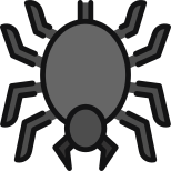 Spider icon
