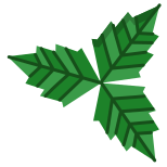 Mint Leaf icon